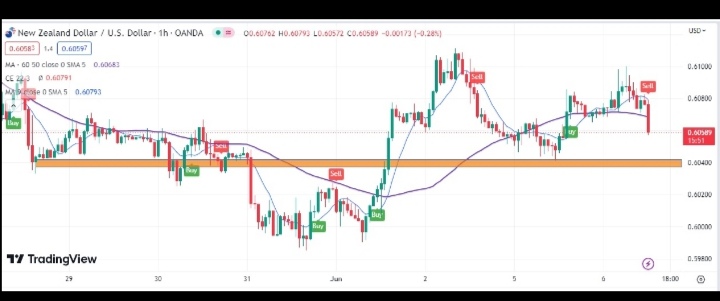 Name: Screenshot_20230607_094046.jpg Views: 88 Size: 57.0 KB