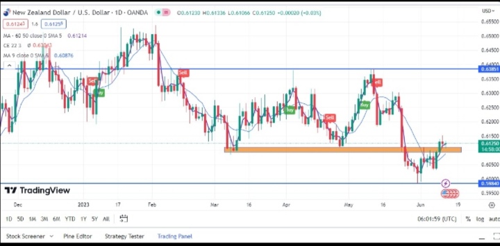 Name: Screenshot_20230613_173821.jpg Views: 87 Size: 74.6 KB