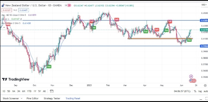 Name: Screenshot_20230618_103536.jpg Views: 75 Size: 69.7 KB