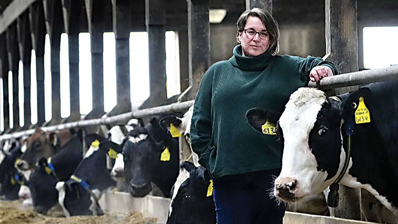 মার্কিন অর্থনীতিতে অভিবাসীদের অবদান বাড়ছে